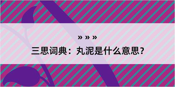 三思词典：丸泥是什么意思？