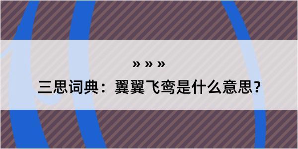 三思词典：翼翼飞鸾是什么意思？