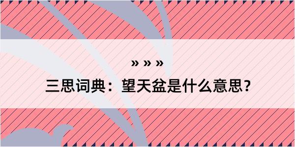 三思词典：望天盆是什么意思？