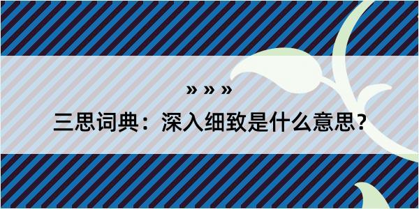 三思词典：深入细致是什么意思？