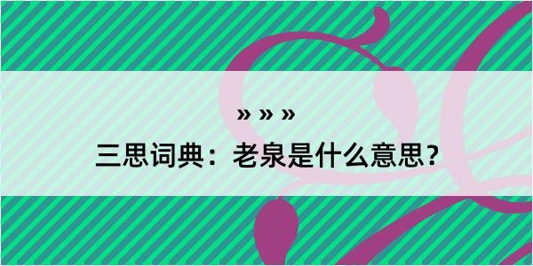 三思词典：老泉是什么意思？