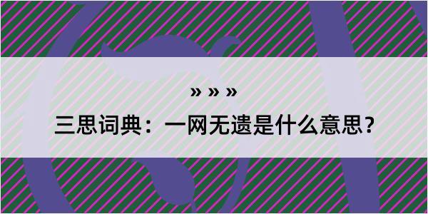 三思词典：一网无遗是什么意思？