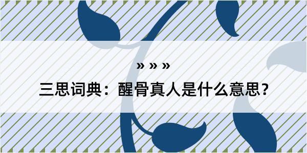 三思词典：醒骨真人是什么意思？