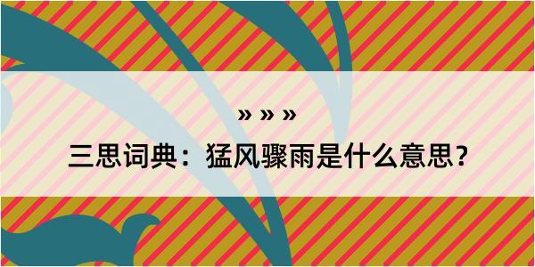 三思词典：猛风骤雨是什么意思？