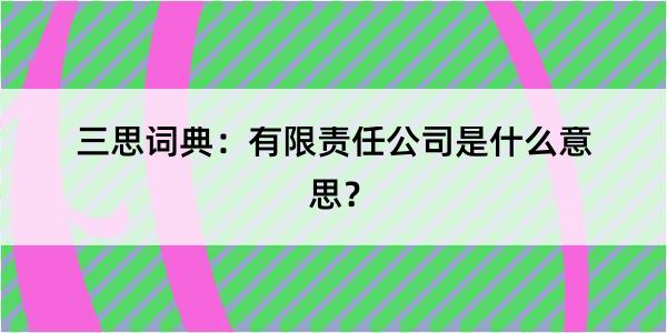 三思词典：有限责任公司是什么意思？