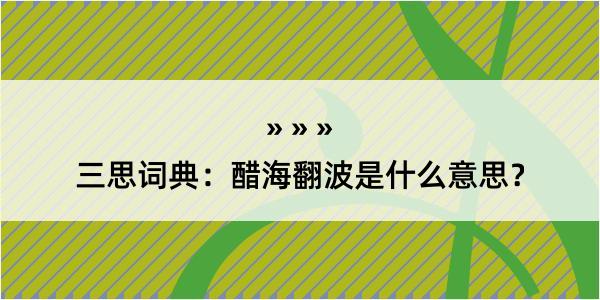 三思词典：醋海翻波是什么意思？