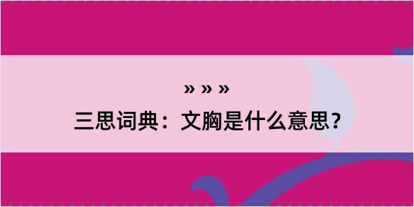 三思词典：文胸是什么意思？