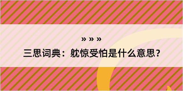 三思词典：躭惊受怕是什么意思？