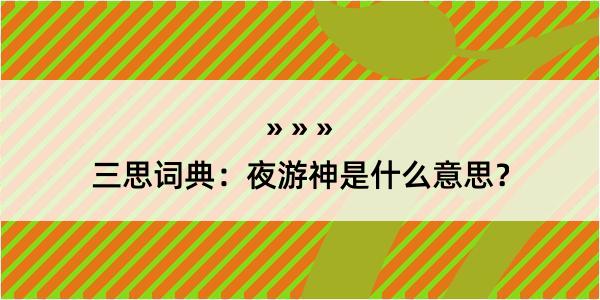 三思词典：夜游神是什么意思？