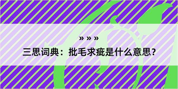 三思词典：批毛求疵是什么意思？