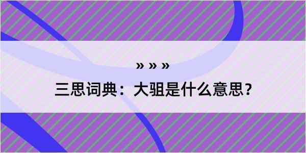 三思词典：大驵是什么意思？