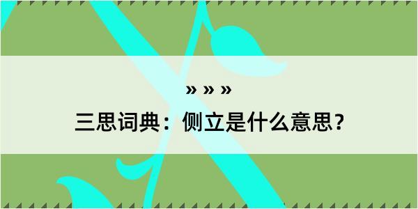 三思词典：侧立是什么意思？