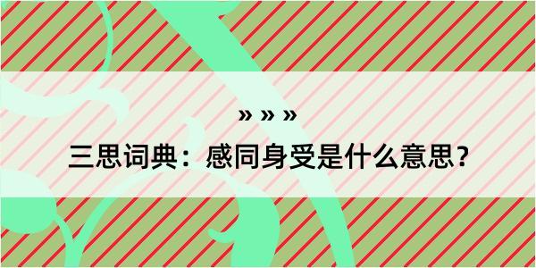 三思词典：感同身受是什么意思？