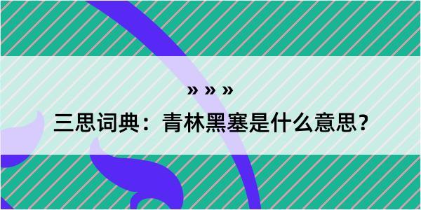 三思词典：青林黑塞是什么意思？