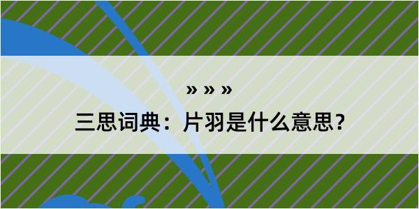 三思词典：片羽是什么意思？