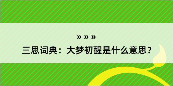 三思词典：大梦初醒是什么意思？