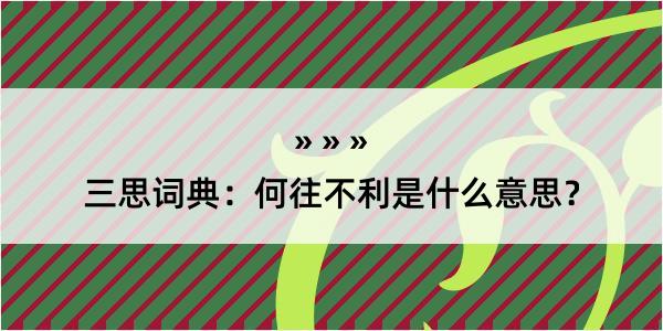 三思词典：何往不利是什么意思？