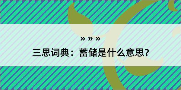 三思词典：蓄储是什么意思？