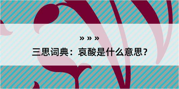 三思词典：哀酸是什么意思？