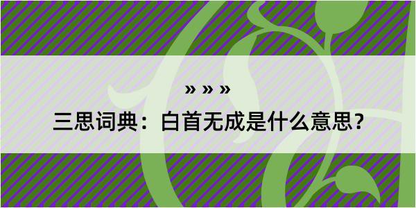 三思词典：白首无成是什么意思？