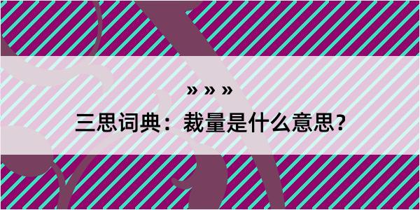 三思词典：裁量是什么意思？