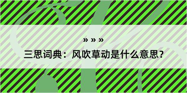 三思词典：风吹草动是什么意思？