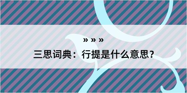 三思词典：行提是什么意思？