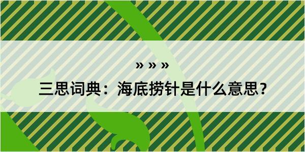 三思词典：海底捞针是什么意思？