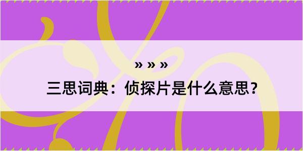 三思词典：侦探片是什么意思？