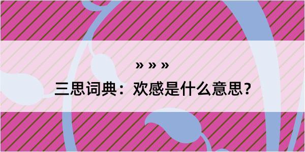 三思词典：欢感是什么意思？