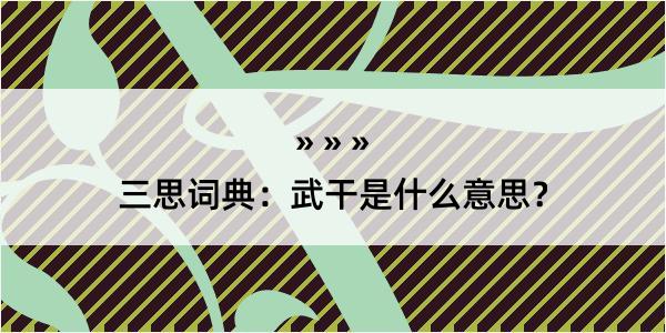 三思词典：武干是什么意思？