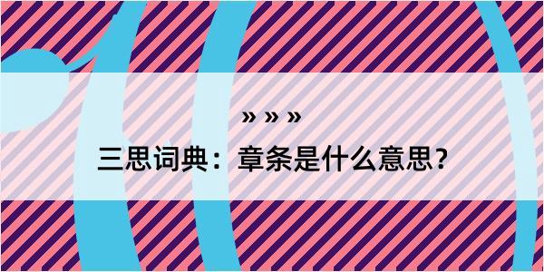 三思词典：章条是什么意思？