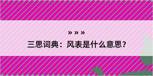 三思词典：风表是什么意思？