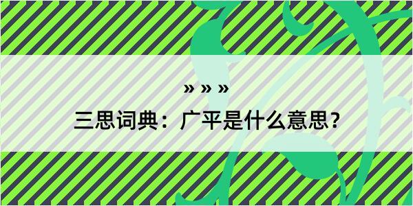 三思词典：广平是什么意思？