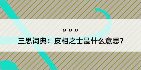 三思词典：皮相之士是什么意思？