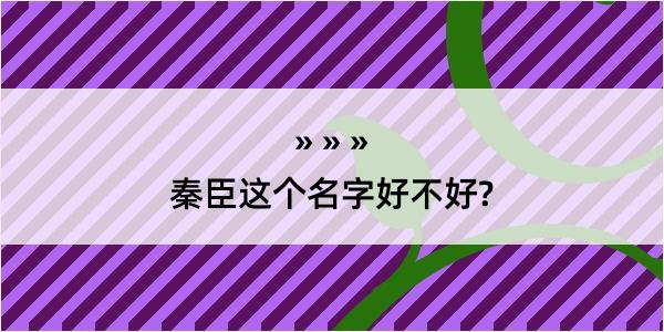 秦臣这个名字好不好?