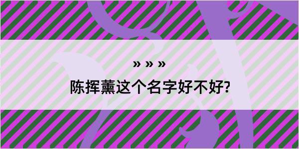 陈挥薰这个名字好不好?