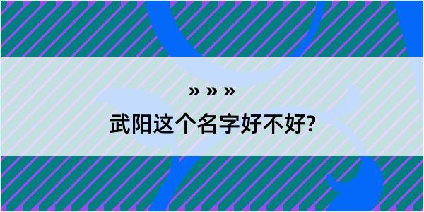 武阳这个名字好不好?