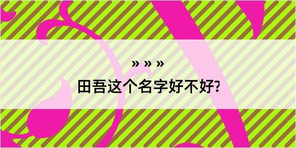 田吾这个名字好不好?