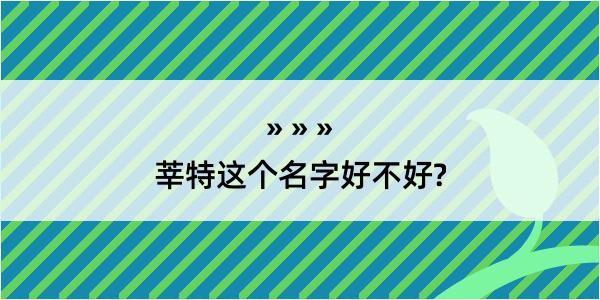 莘特这个名字好不好?