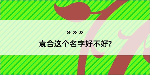 袁合这个名字好不好?