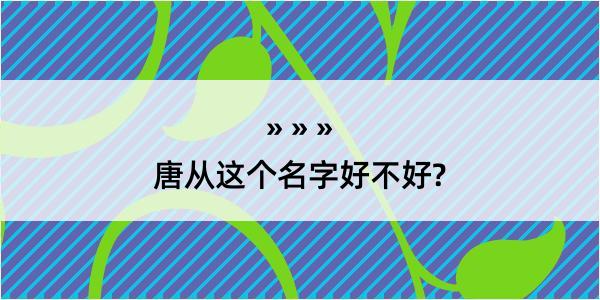 唐从这个名字好不好?