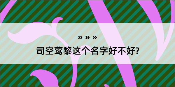 司空莺黎这个名字好不好?