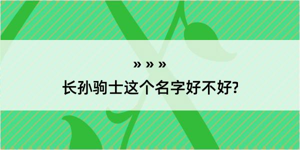 长孙驹士这个名字好不好?