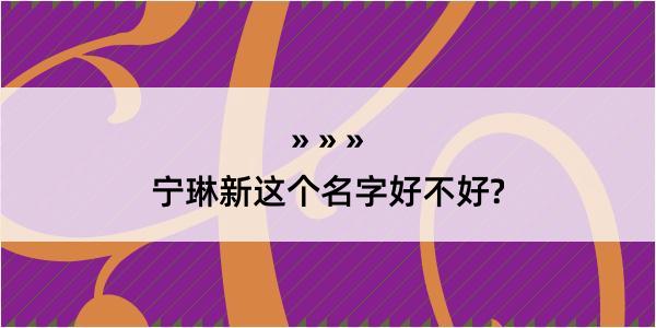 宁琳新这个名字好不好?