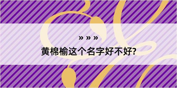 黄棉榆这个名字好不好?