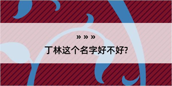 丁林这个名字好不好?