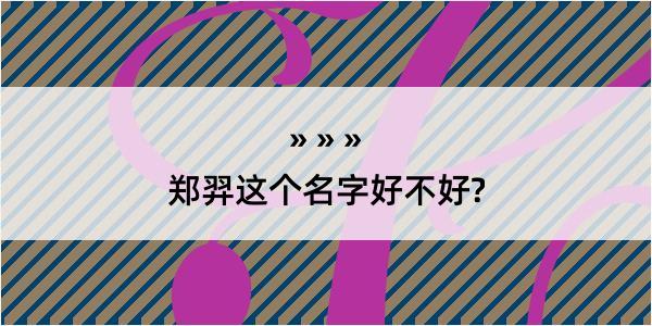 郑羿这个名字好不好?