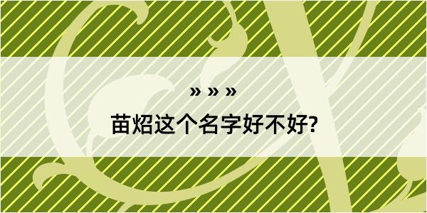 苗炤这个名字好不好?