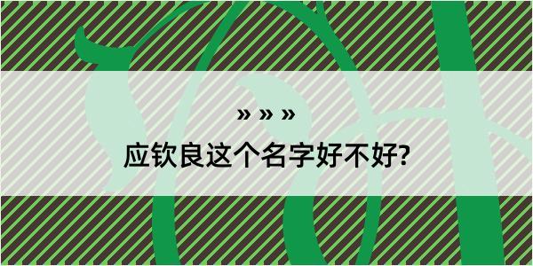 应钦良这个名字好不好?